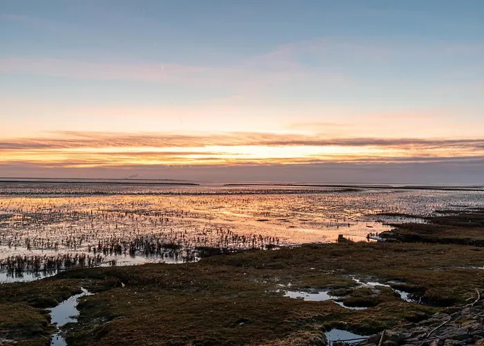 Witthuus-spiekeroog By Interhome * Norddeich (Norden)